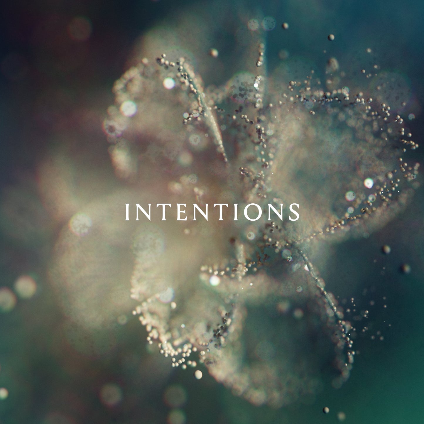 CD cover for "Intentions" by ANNA, with a blurred floral design.