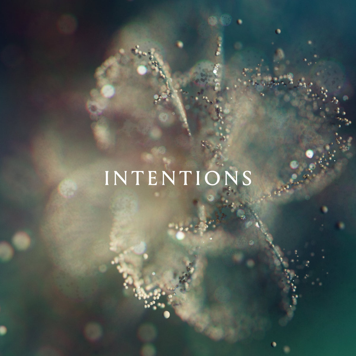 CD cover for "Intentions" by ANNA, with a blurred floral design.