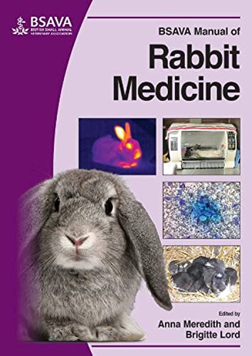 Book cover featuring a rabbit and medical imagery, titled “BSAVA Manual of Rabbit Medicine.”