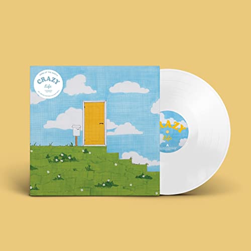Anna Of The North" vinyl record with a yellow door and blue sky cover.