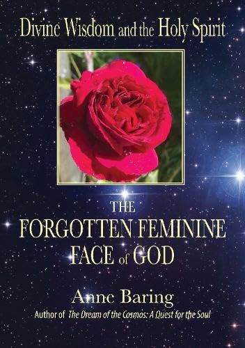 Book cover featuring a red rose against a starry night sky background.