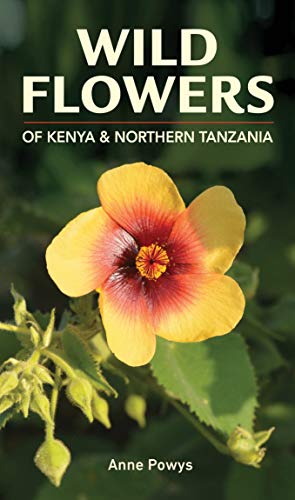 Book cover featuring a yellow and red hibiscus flower.