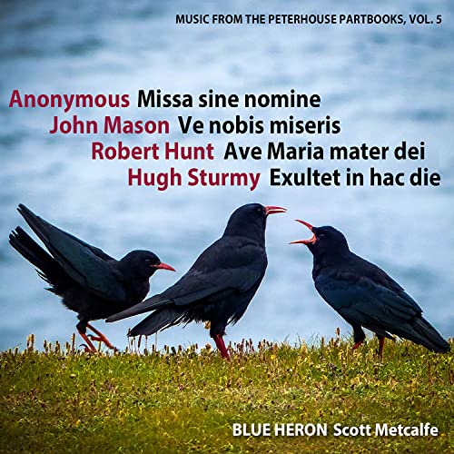 CD cover with three black birds against a blurred blue and green background.
