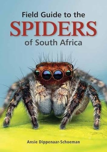 Book cover featuring a close-up of a jumping spider.