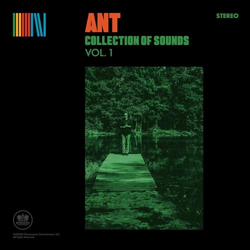 Vinyl album cover featuring a person standing on a dock by a green forest.