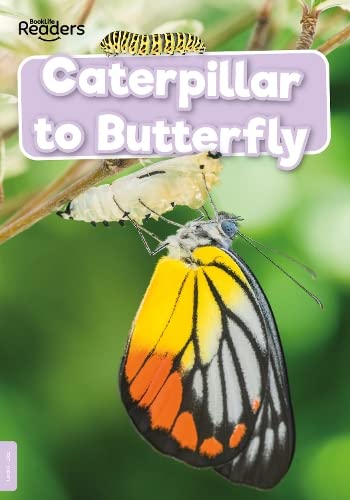 Book cover depicting a caterpillar, chrysalis, and emerging butterfly.