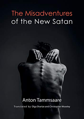 Book cover: back view of a person with emerging wing shapes.