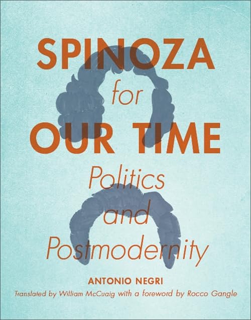 Book cover: "Spinoza for Our Time" with a blurred portrait.