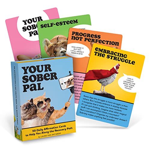 Affirmation card deck with cats and other animals, titled "Your Sober Pal.