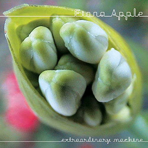 Fiona Apple's "Extraordinary Machine" CD cover: a close-up of a green apple blossom.