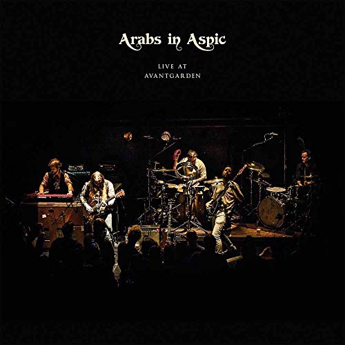 Vinyl album cover featuring a band performing on stage with audience silhouettes.