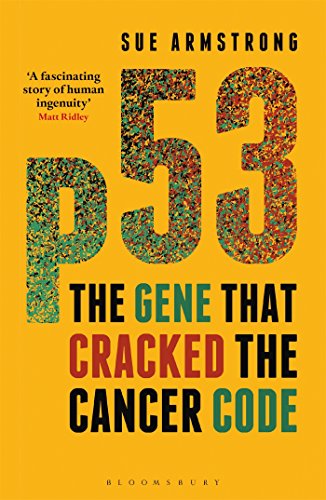 Book cover: large red "p53" text on yellow background, title below.