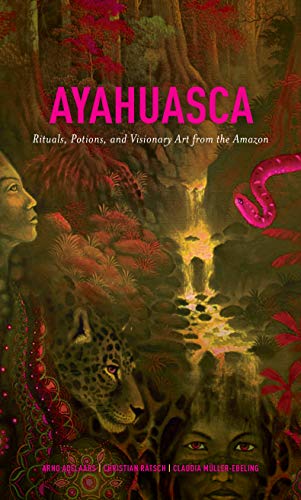 Book cover featuring a jaguar, human faces, and a glowing waterfall in the jungle.