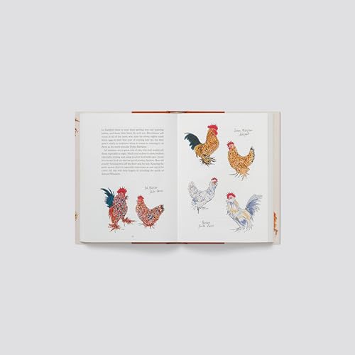 Open book page with colorful illustrations of roosters and hens.