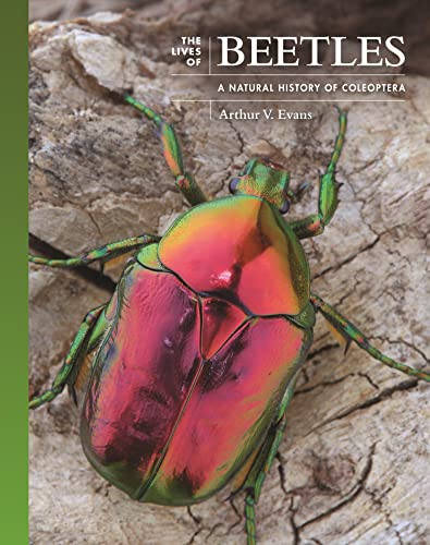 Book cover featuring a vibrant, iridescent jewel beetle on bark.