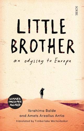 Book cover: "Little Brother" with a lone figure in a desert landscape.