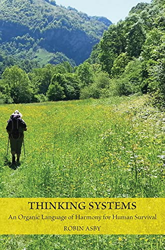 Book cover with a mountain landscape and a hiker in a field.