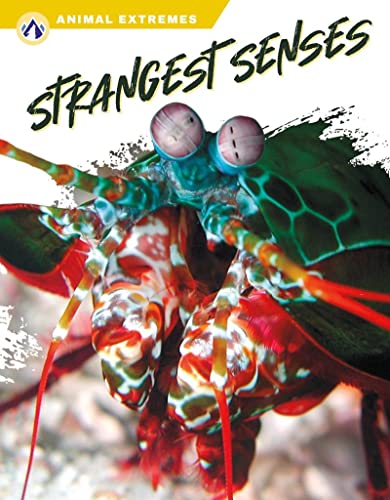 Book cover featuring a colorful mantis shrimp with complex eyes.