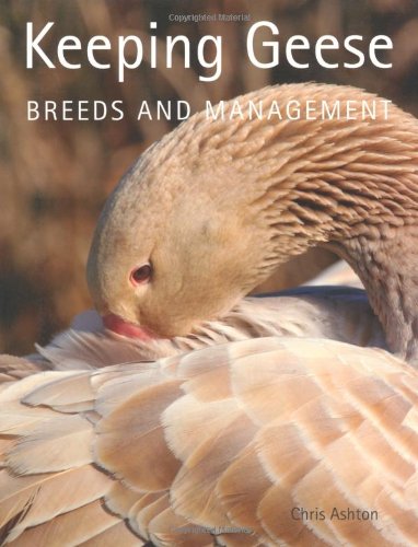 Book cover: "Keeping Geese" with a close-up of a goose preening.