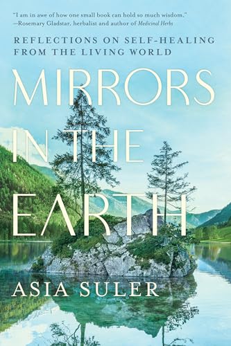 Book cover: “Mirrors in the Earth” with a landscape reflection.