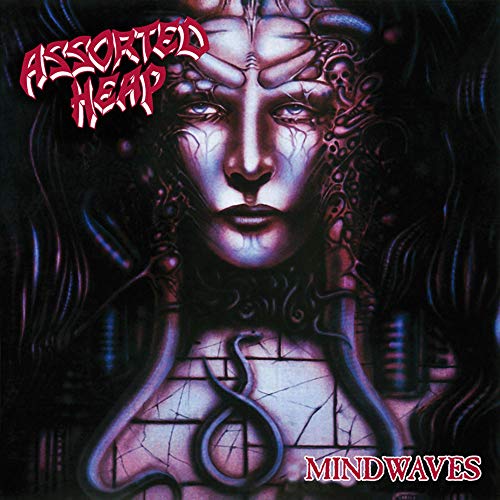 Album cover for Assorted Heap’s “Mindwaves” featuring a surreal, detailed portrait.