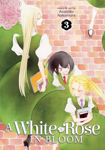Manga cover: three young women with long hair, brick wall background.
