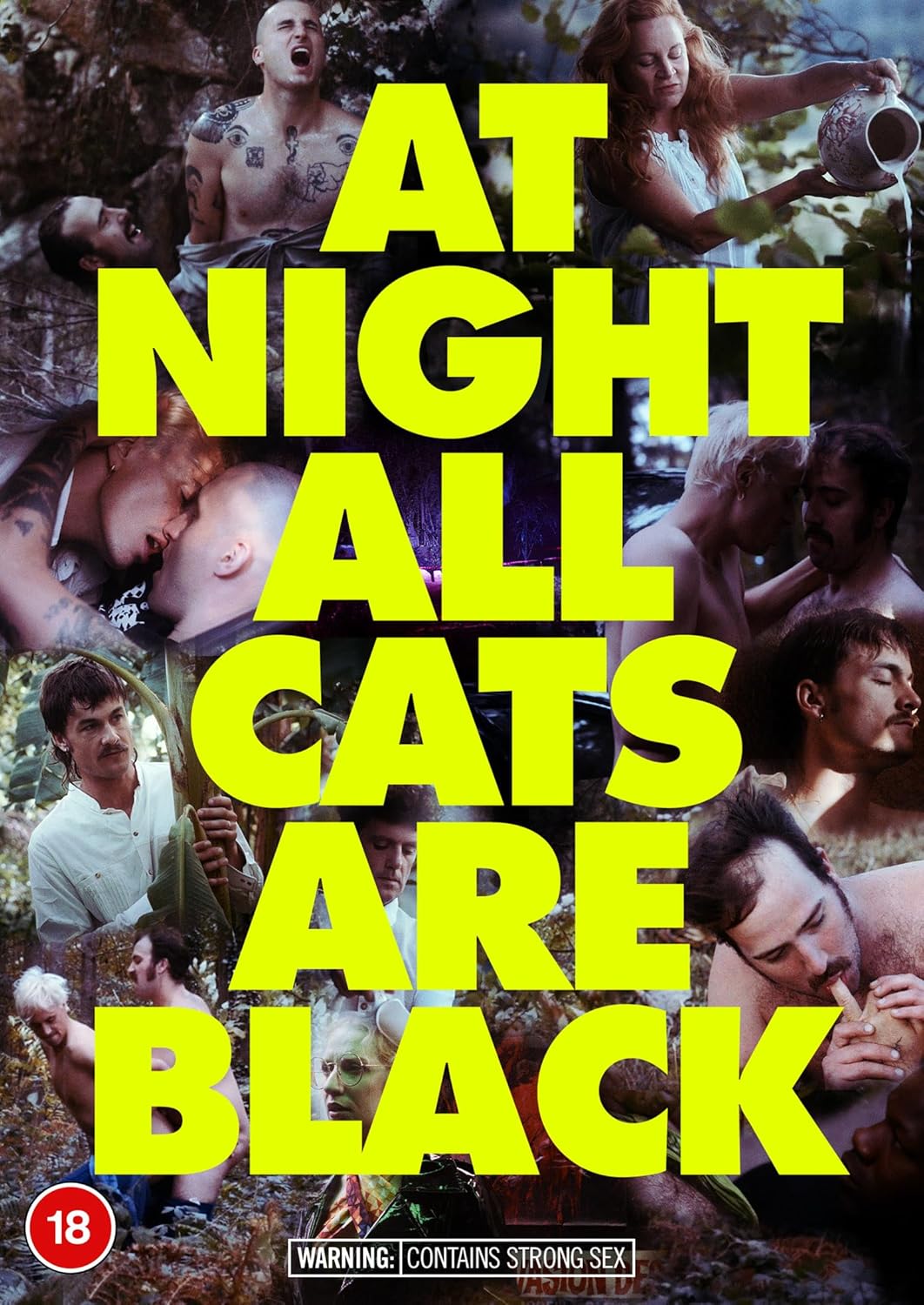 DVD cover for "At Night All Cats Are Black" with multiple faces.