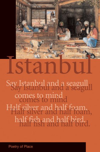 Book cover depicting a bustling, historical Istanbul street scene.