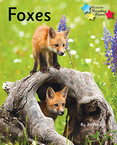 Book cover featuring two young foxes near a tree root.
