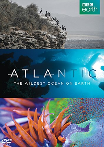 DVD cover showing birds on a cliff, a whale underwater, and colorful sea anemones.