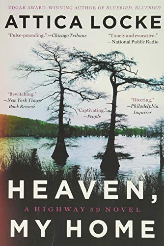 Book cover: swamp landscape with cypress trees and large white text.