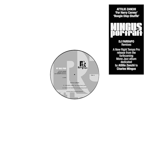 Black vinyl record label with white text: "Mingus Portrait (DJ Farrapo Remixes)".