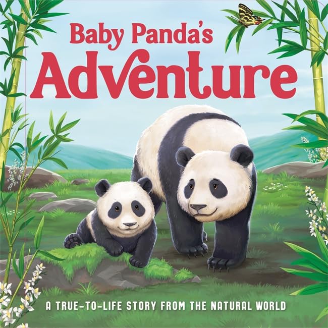 Book cover: two pandas in a bamboo forest, title "Baby Panda's Adventure".