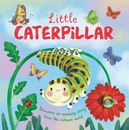 Book cover featuring a green caterpillar with butterflies and flowers.