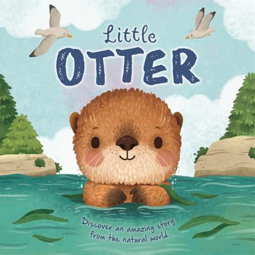 Book cover featuring a cute, illustrated otter in blue water.