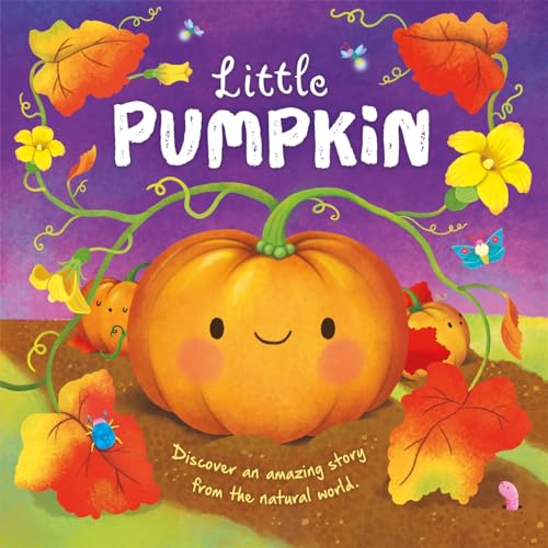 Book cover featuring a smiling pumpkin with flowers and butterflies.