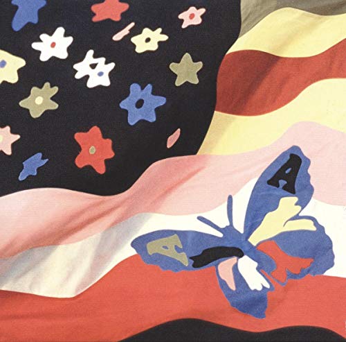 Painted American flag with stars and a blue butterfly.