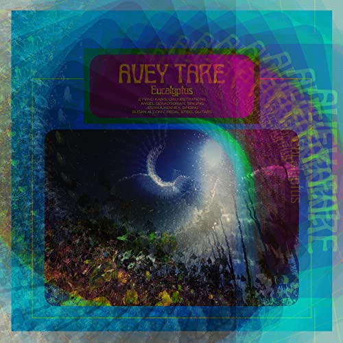 CD cover for Avey Tare’s “Eucalyptus” with abstract forest imagery.