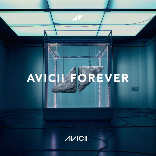 Avicii Forever album cover: a dark stone suspended in a glass case.