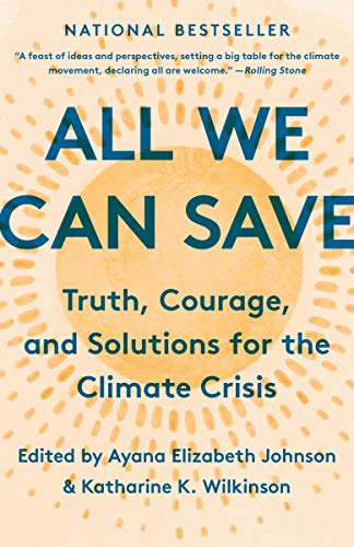 Book cover for All We Can Save with a yellow sunburst background.