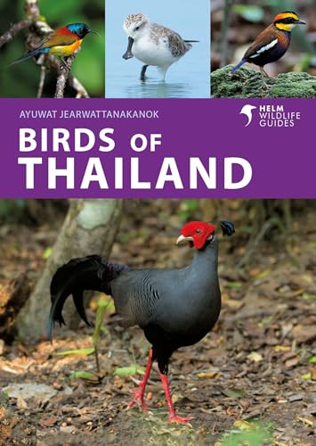 Book cover featuring four colorful bird species found in Thailand.