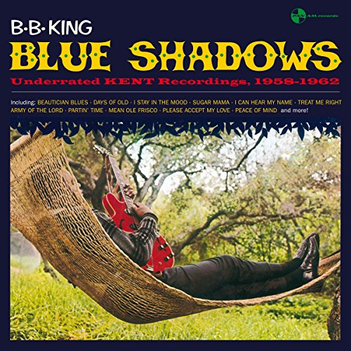 B.B. King “Blue Shadows” vinyl record cover with a man in a hammock.