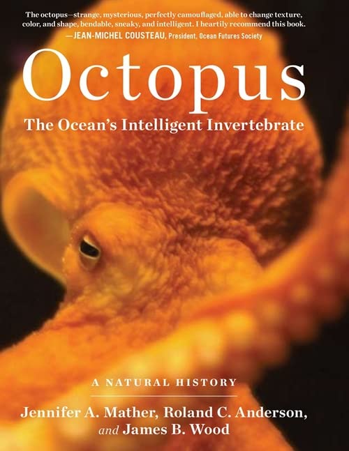 Book cover featuring a close-up of an orange octopus with a visible eye.