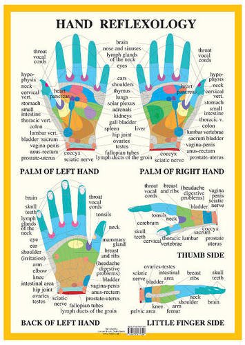 Hand reflexology chart showing zones and corresponding body parts on palms.