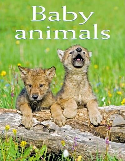 Book cover with two baby wolf cubs on a log in grass.