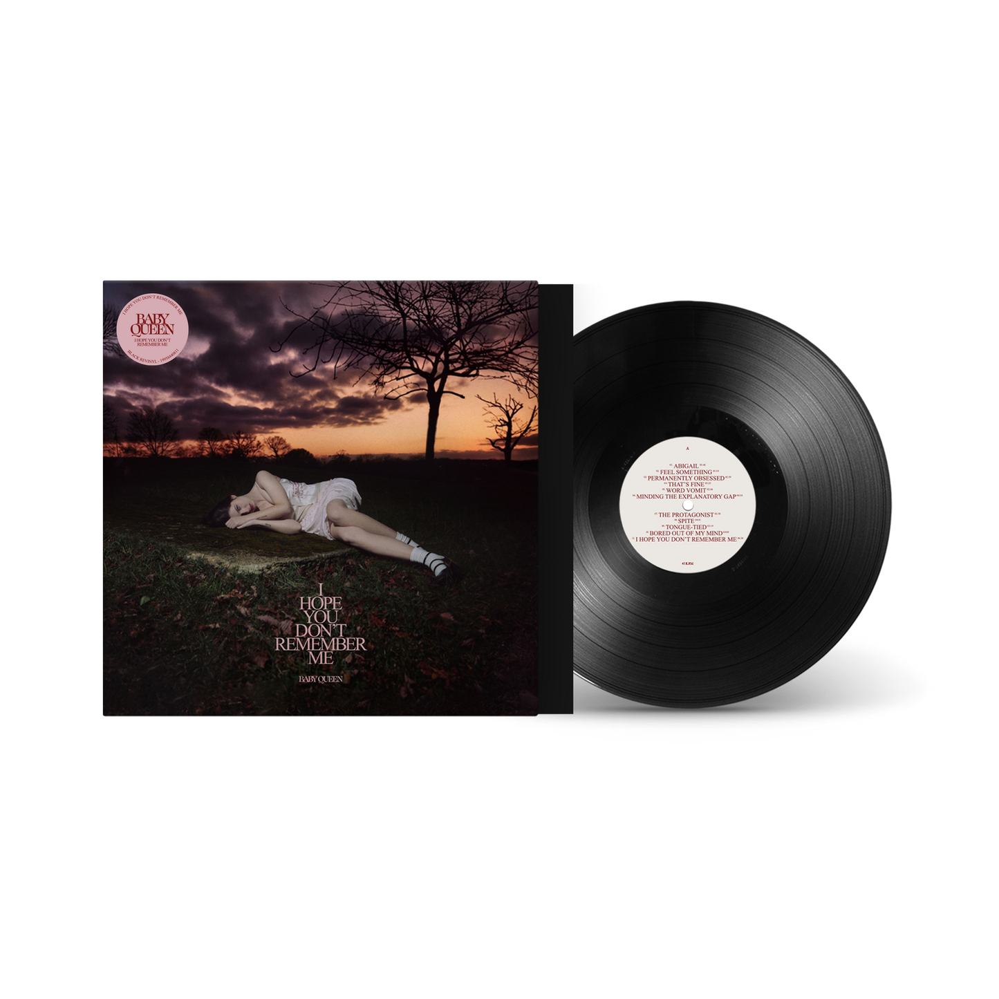 Baby Queen - I Hope You Don’t Remember Me [VINYL]