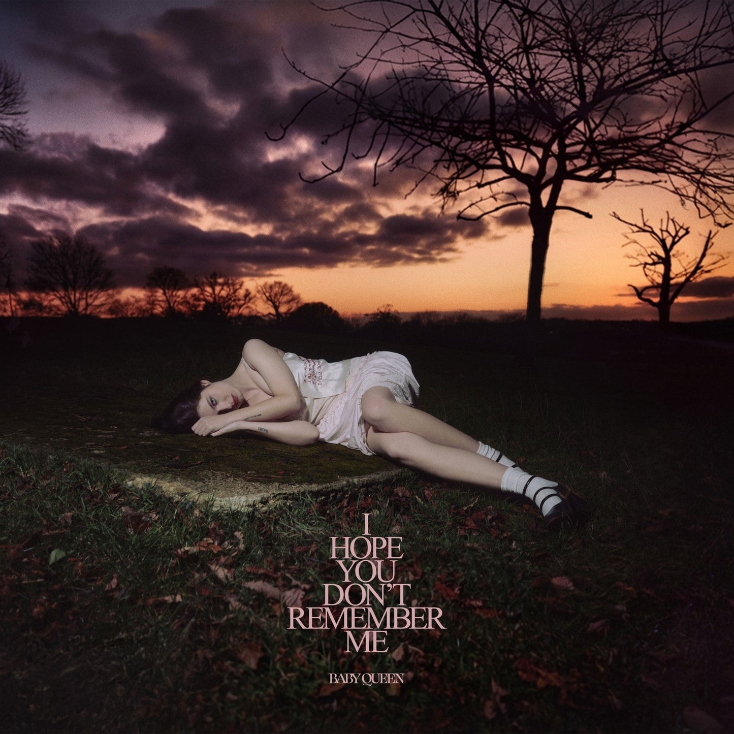 Album cover: woman lying in grass under a stormy sunset.