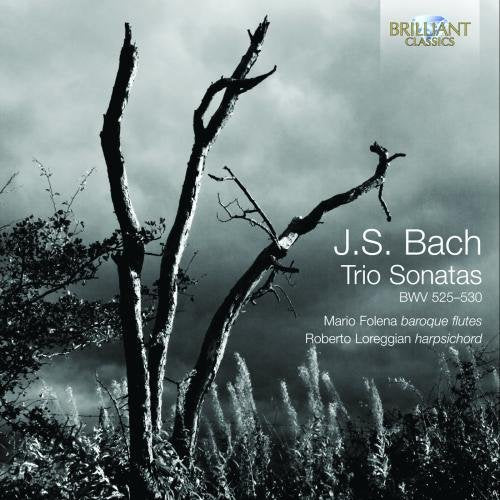 CD cover for J.S. Bach Trio Sonatas, featuring bare tree branches.