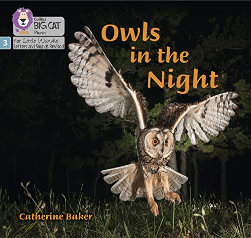 Book cover featuring an owl in flight against a dark forest background.