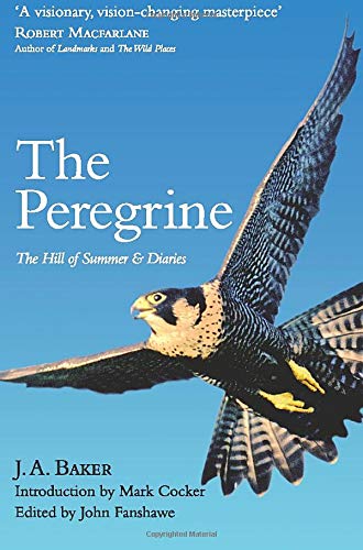 Book cover featuring a peregrine falcon in flight against a blue sky.